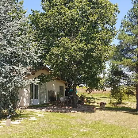 Bed & Breakfast La Petite Boulandre Saint-Antoine-de-Breuilh
